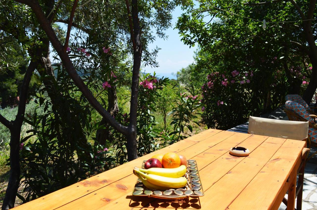 Alikias Country House Panormos  Eksteriør bilde