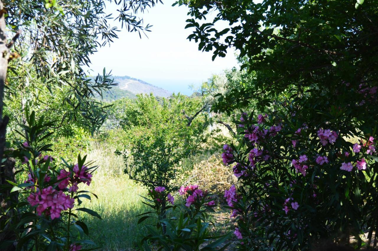 Alikias Country House Panormos  Eksteriør bilde