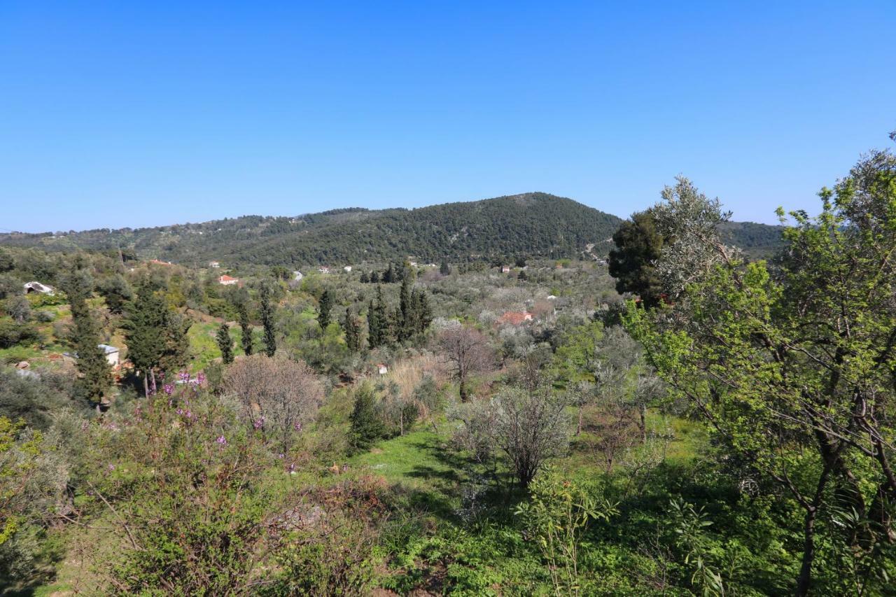 Alikias Country House Panormos  Eksteriør bilde