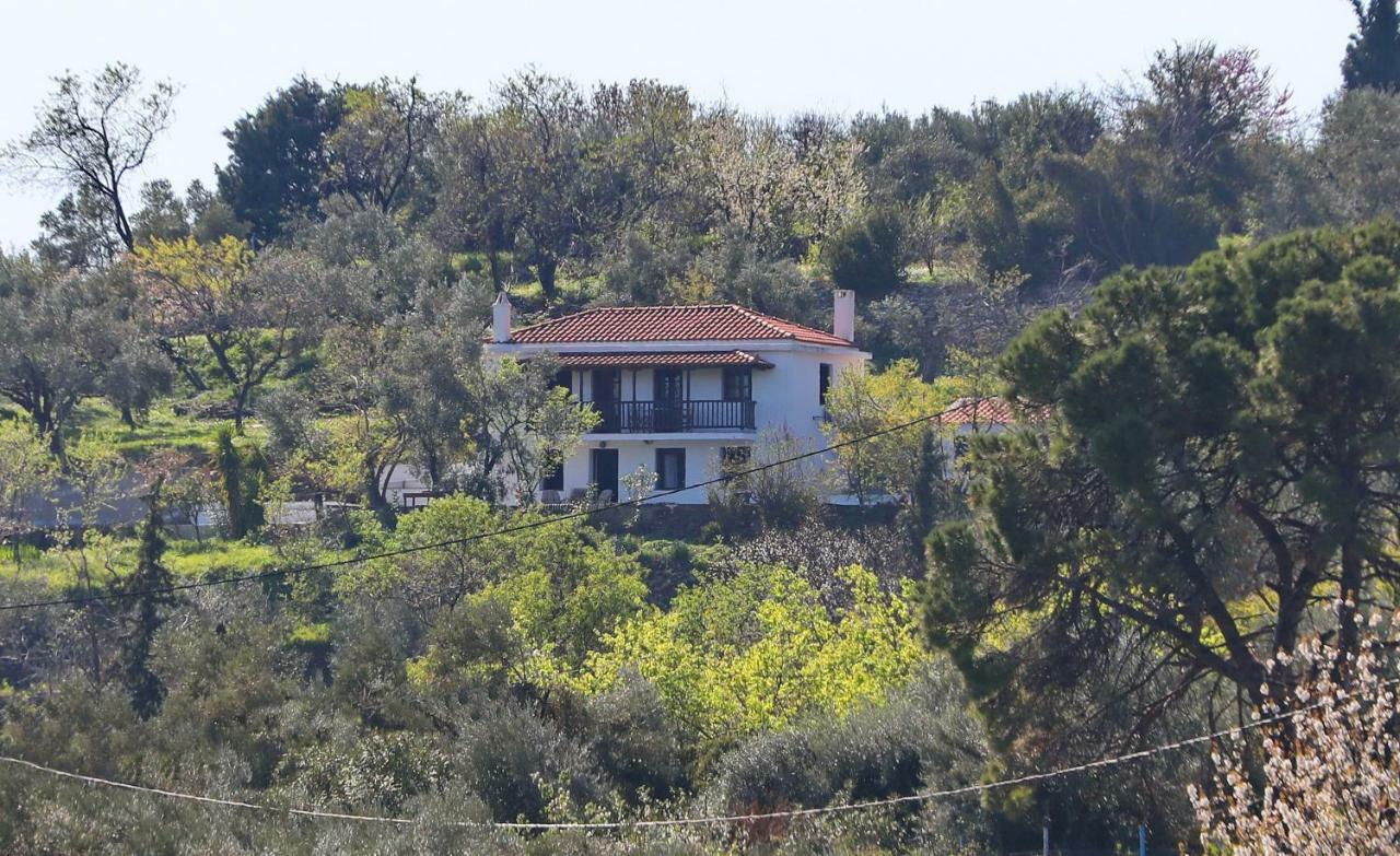 Alikias Country House Panormos  Eksteriør bilde
